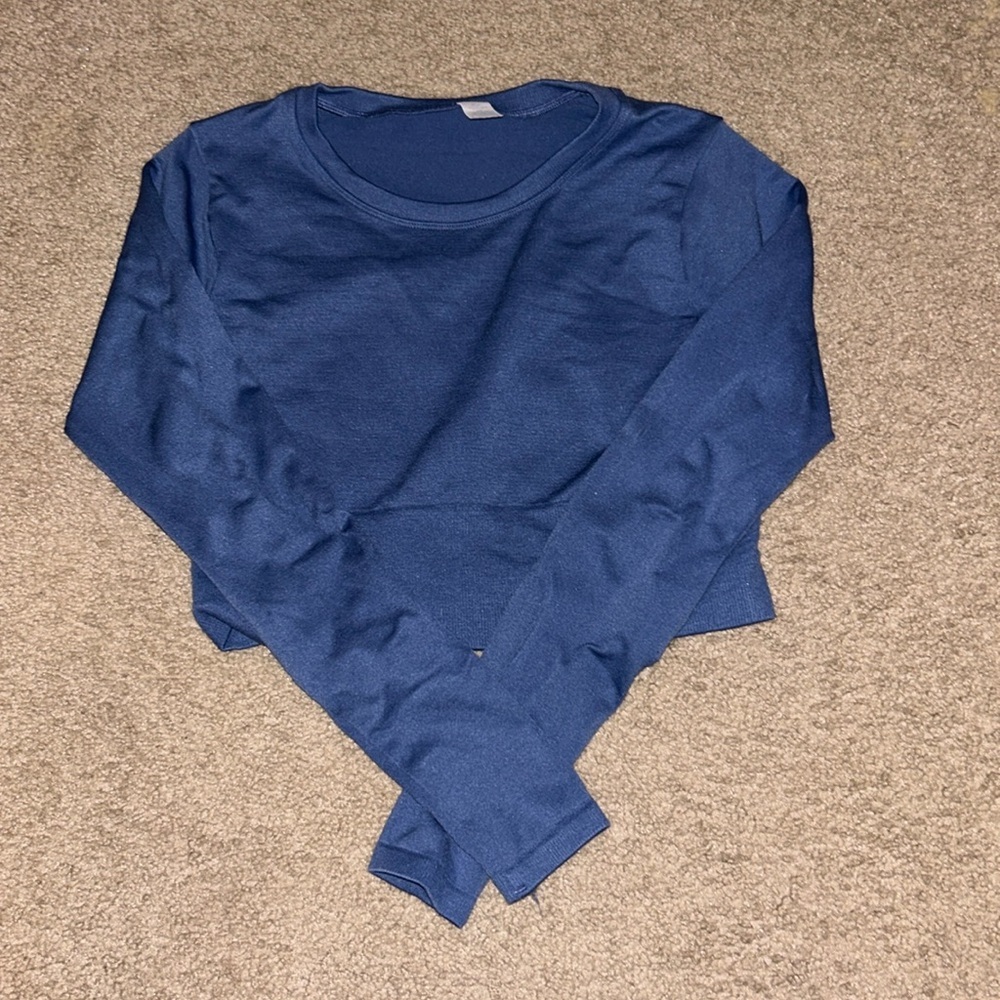 Aerie Blue Long Sleeve Crop Top